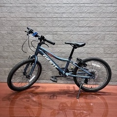 GIANT ジャイアント20インチのジュニアMTBキッズ自転車