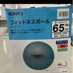 イグニオ　フィットネスボール　65センチ