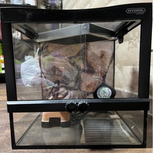 ヒュドラケースセット 爬虫類 ヒーター等含む