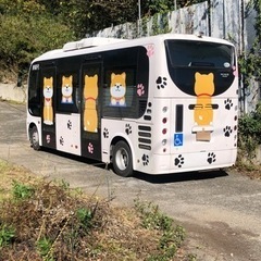 日野ポンチョロング　特種　車いす移動車構造変更済　車中泊　キャンピングカー　バスコン　路線バスの画像