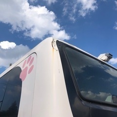 日野ポンチョロング　特種　車いす移動車構造変更済　車中泊　キャンピングカー　バスコン　路線バスの画像