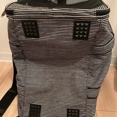 ペット用キャリーバッグの画像