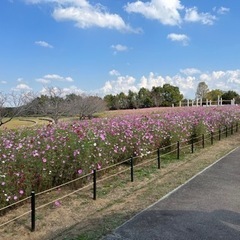 12月6日★印西市★子育てママランチ会