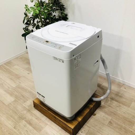 ♦️SHARP a1555 洗濯機 6.0kg 2019年製 8♦️