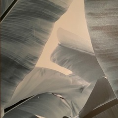 boconcept のアートパネルですの画像