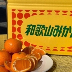 和歌山みかん　200円の画像