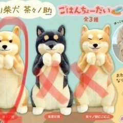 犬の大きなぬいぐるみ