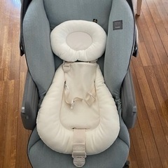 阪神タイガース 金本知憲 支給品 スパイク 美品 貴重