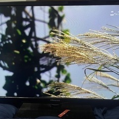 Hisense2014年製32型ハイビジョン液晶テレビ