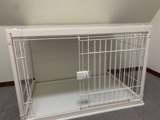犬小屋未使用