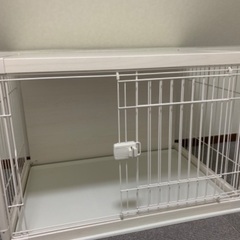 犬小屋未使用