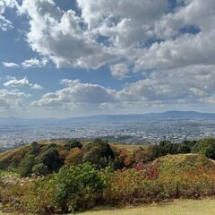 ★ツーリング行きましょう★ワインディング中心★　 - 大阪市