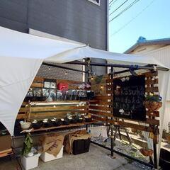 11/20　めだか無人販売　