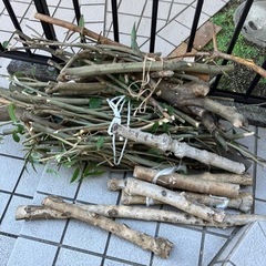 木カット済み、薪に工作に。