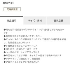 【未使用】リクライニングベッドの画像