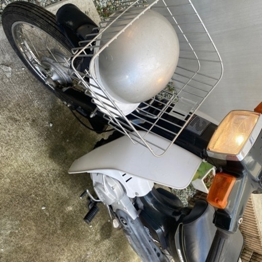 ススギ　birdie バーディ　50