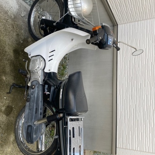 ススギ　birdie バーディ　50