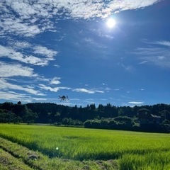 ドローンによる農薬散布代行