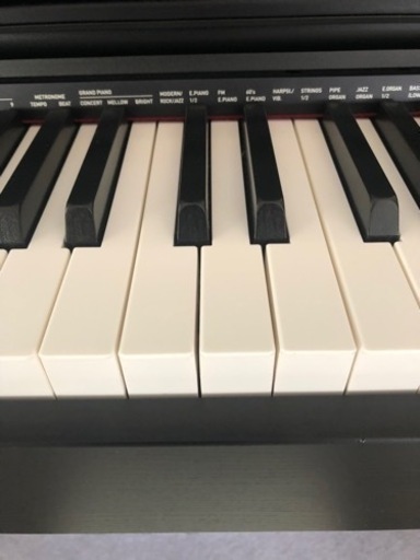 Casio PX870 中古品
