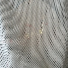 バウンサーの画像