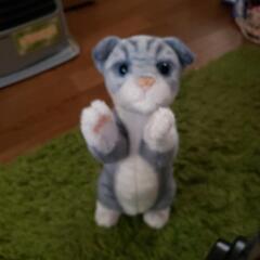 猫ぬいぐるみの画像