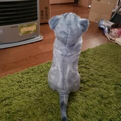 猫ぬいぐるみの画像
