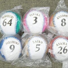 ファイターズ メタリックボール 6個セット 中島卓也 淺間大基 田中賢介 谷口雄也 近藤健介 ブランドン・レアード ファンクラブ限定 日ハム 札幌市 清田区 平岡の画像