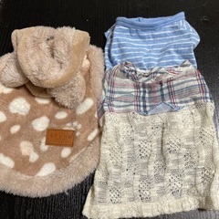 【決まりました！】犬洋服S