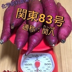 発送可★自家栽培(サツマイモ)関東83号(1kg400円)の画像