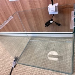 水槽/コトブキ/レグラスR 400/ヒーター/ライトの画像