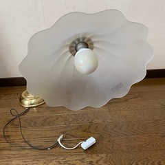 照明　差し上げます