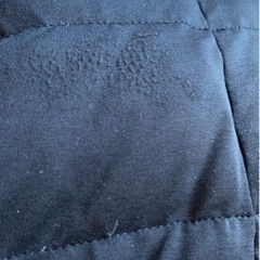 プロポーション　ダウンの画像