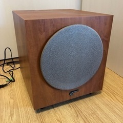 AudioPro B5 ace-bassの画像