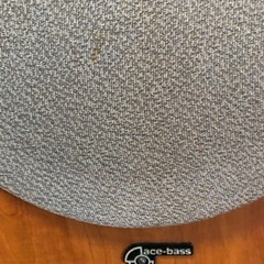 AudioPro B5 ace-bassの画像