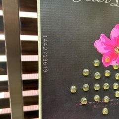 １４４センチ　レディースモデル
の画像