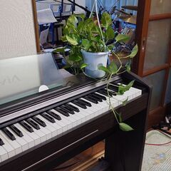 PIANO＆Vo.コーラスができる方