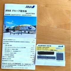 ANA（全日空）株主優待航空券と割引冊子