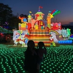 【受渡予定者決定済み】　東京ドイツ村　ご招待券　1枚の画像