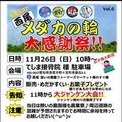 めだか 販売会 イベント