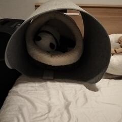 電気ヒーター