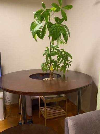 【早い方優先】ドーナツテーブル、茶