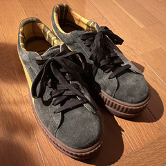 プーマ フェンティーバイリアーナ