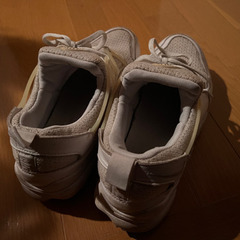 エアハラチ ライトの画像