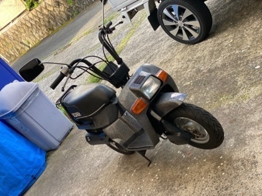 スカッシュ50再出品！！