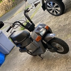 スカッシュ50再出品！！