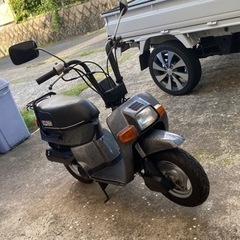 スカッシュ50再出品！！の画像