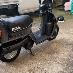 スカッシュ50再出品！！の画像