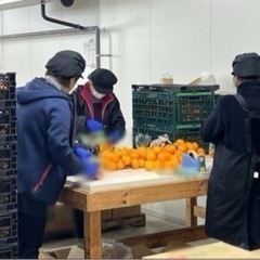 日払いOK!短期の方❗️急募❗️