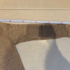 ホリスターのセーターの画像