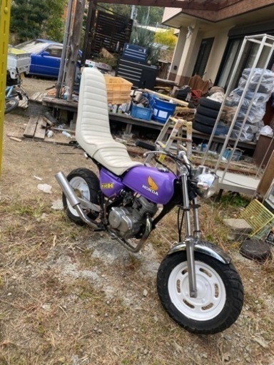 エイプ50 最終値下げ